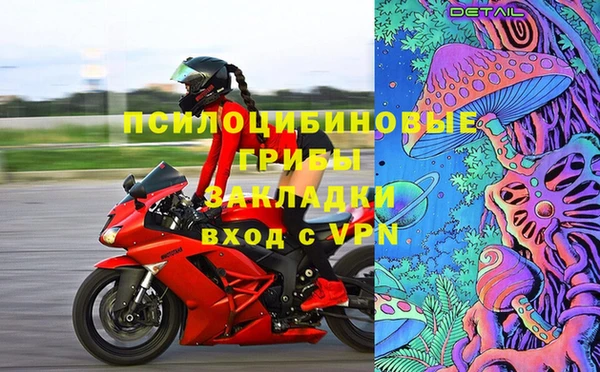 не бодяженный Алексин
