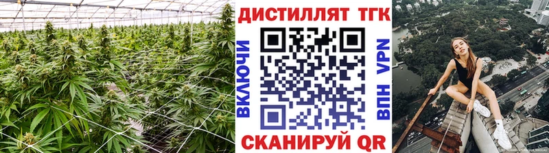 ТГК гашишное масло  МЕГА вход  Алупка  наркошоп 